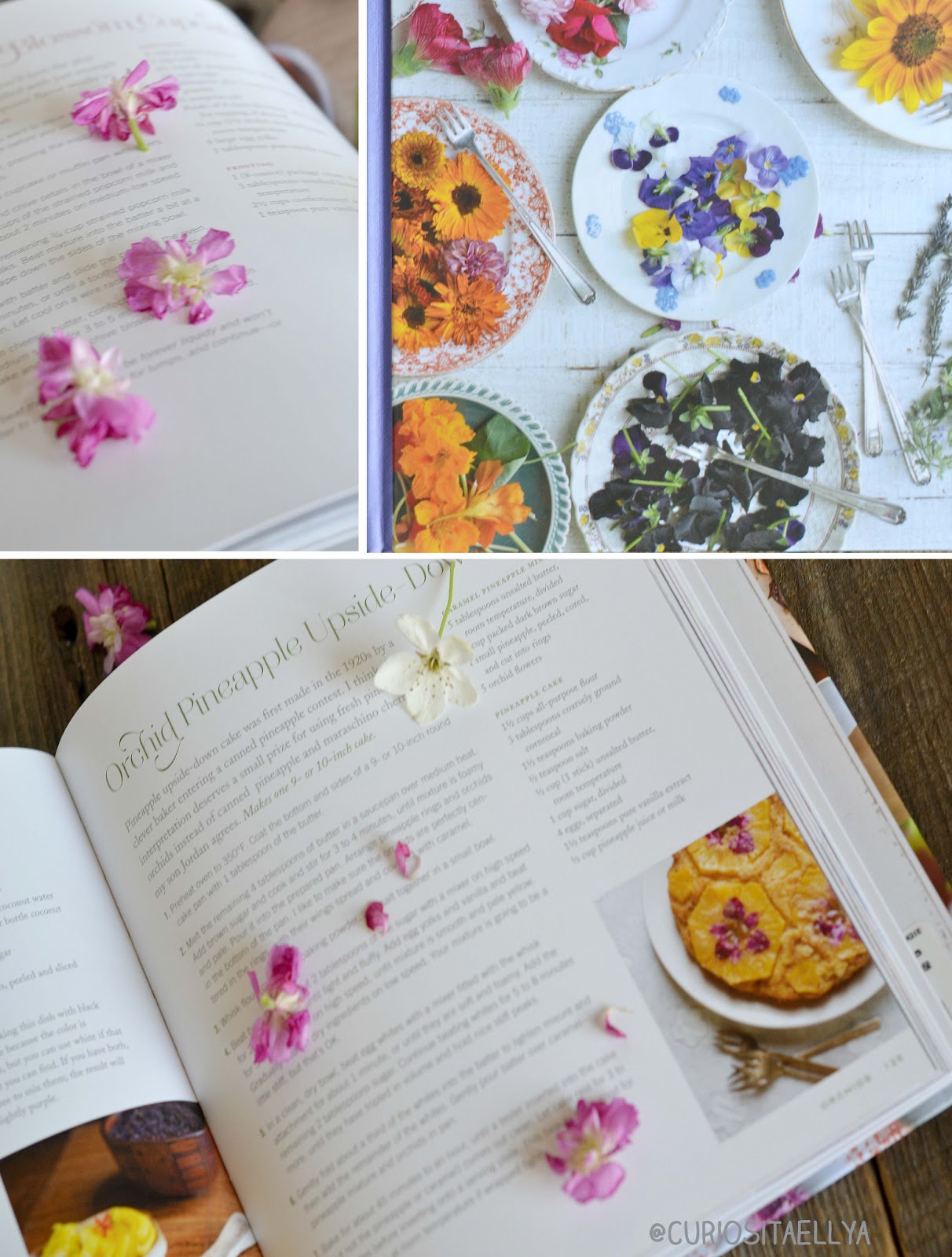 Curiositaellya Cooking With Flowers {pretty cooking book from
