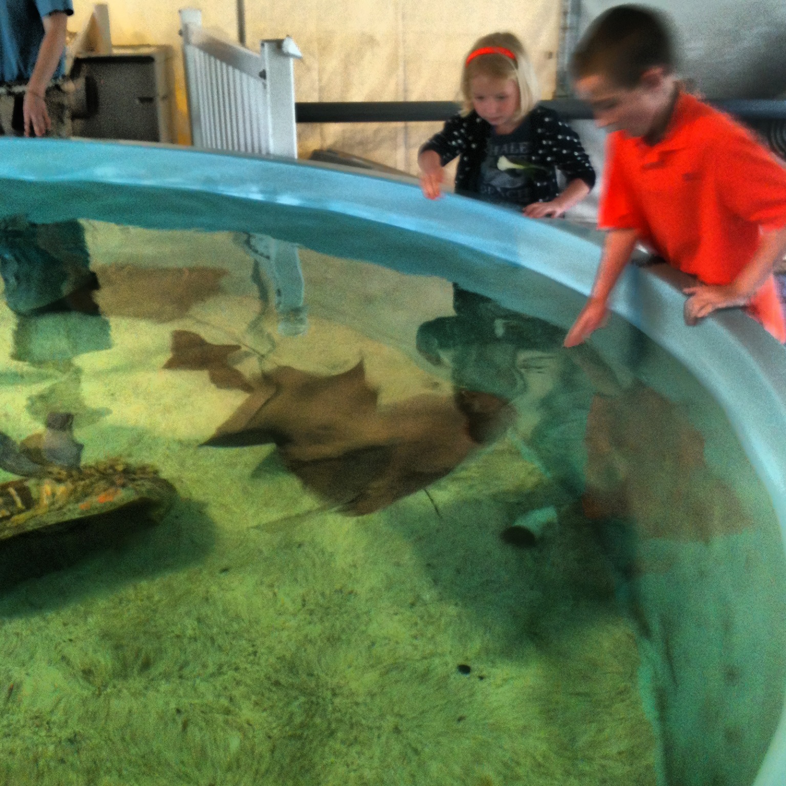 Home Place Mystic Aquarium in Mystic CT for Mother's Day 2013