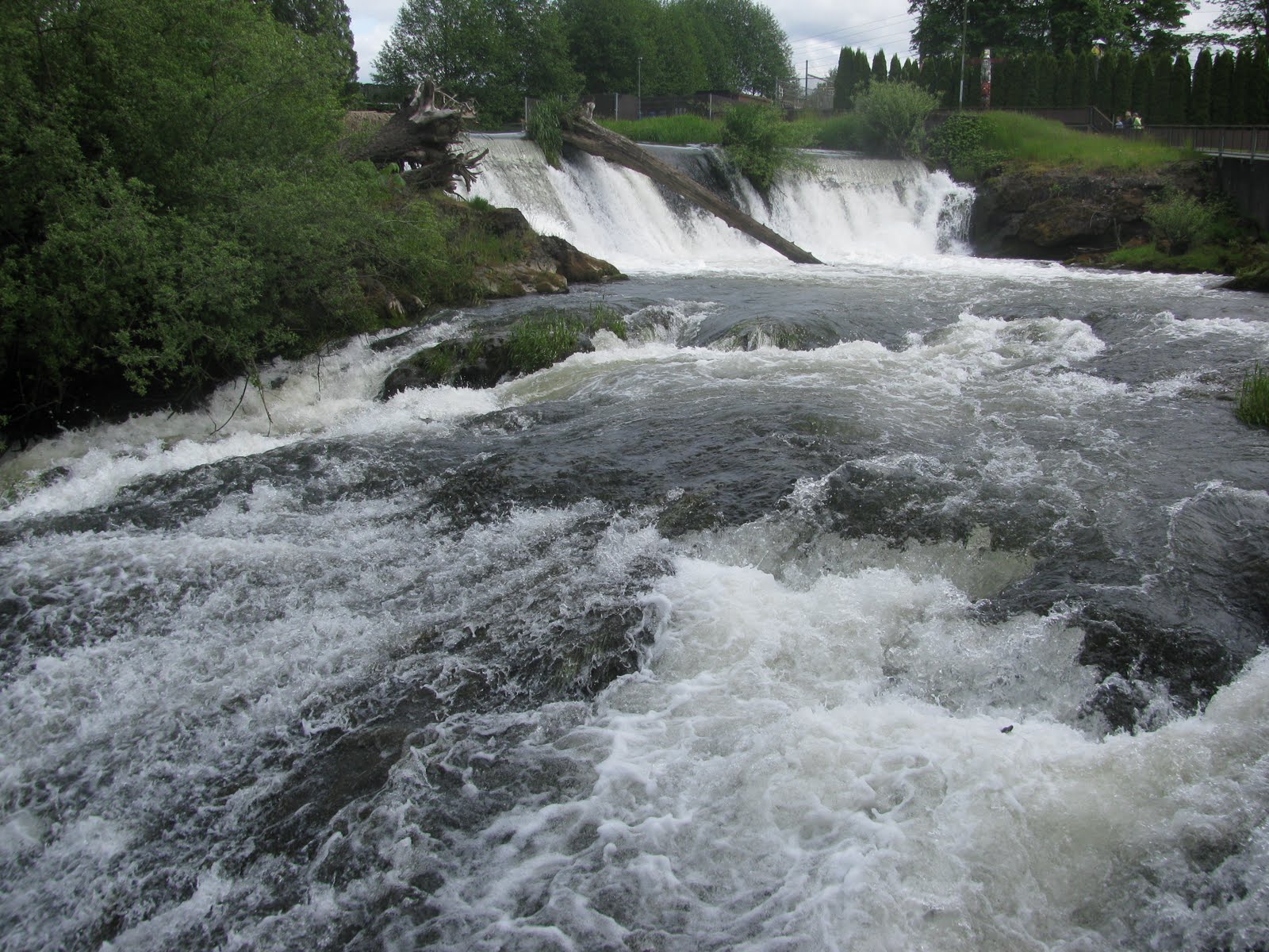 Beautiful Washington State Tumwater Falls Park (Tumwater, WA)