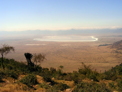global view of Ngorongoro crater Ngorongoro crater, the cradle of life, Tanzania, africa by JoseeMM