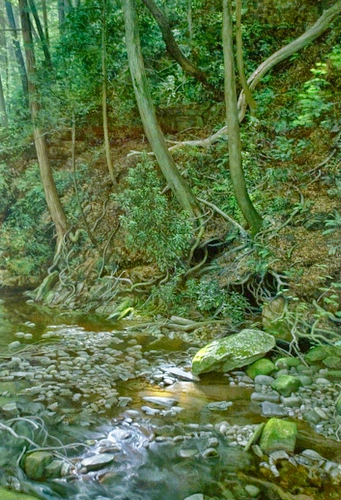 imagenes-de-un-paisaje-natural pintura-paisaje-natural-oleo