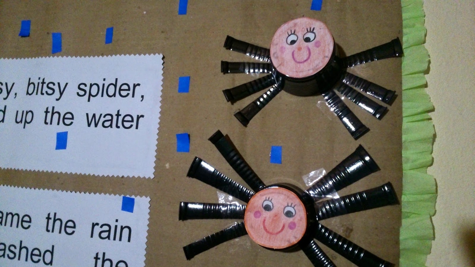 spider