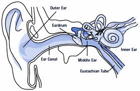 Ear Infections and Earache – 11/8/11