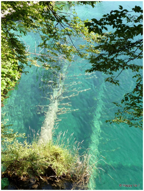 Lac de Plitvice