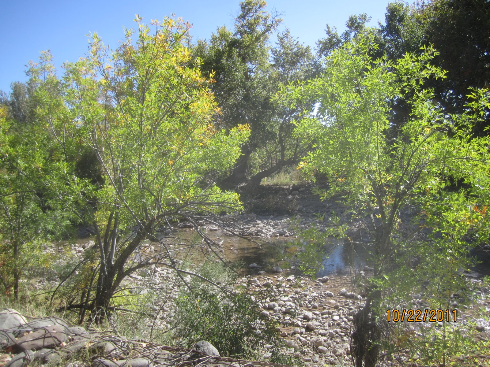 Go with the Gilmore's Montezuma National Park