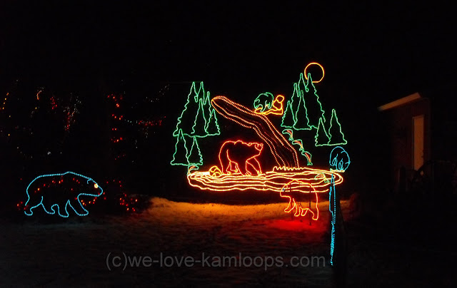 display of bears in colored lights