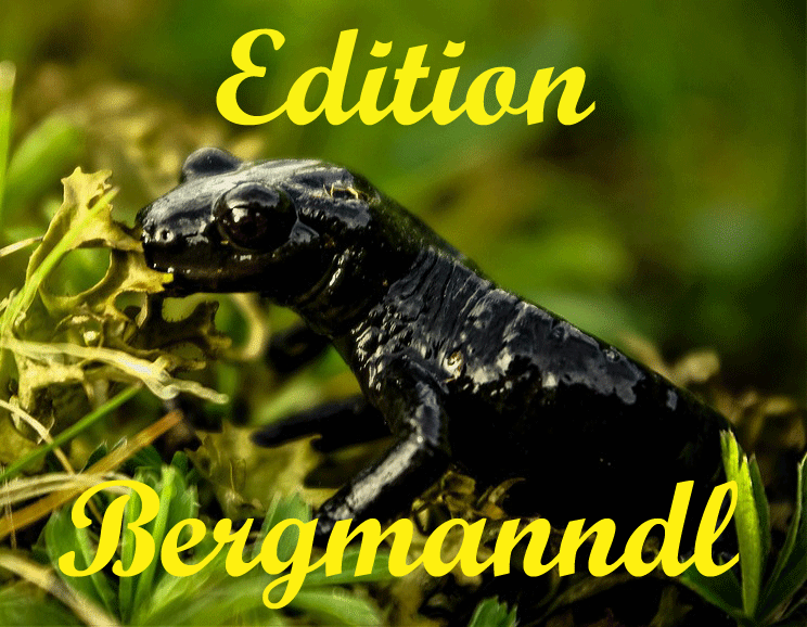 Edition Bergmanndl