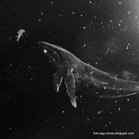 Cover Album EXO - SING FOR YOU - Winter Special Album Cover Album EXO - SING FOR YOU - Winter Special Album