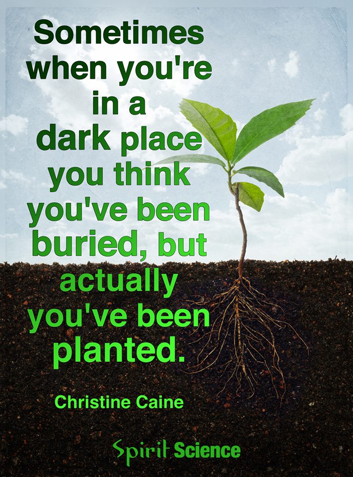 Sometimes When You Are In A Dark Place You Think You Have Been Buried