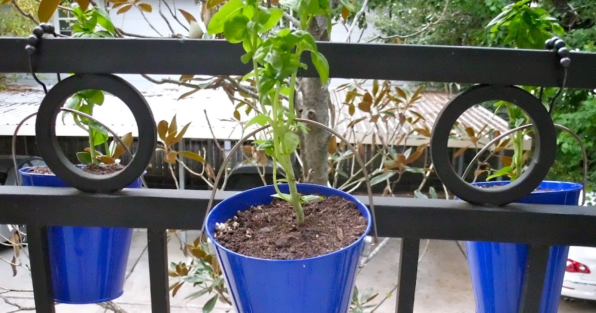 Kate's Kreative Blog Plant Buckets