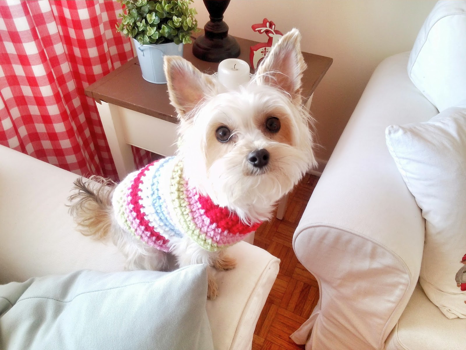Hopscotch lane: sophie sweater