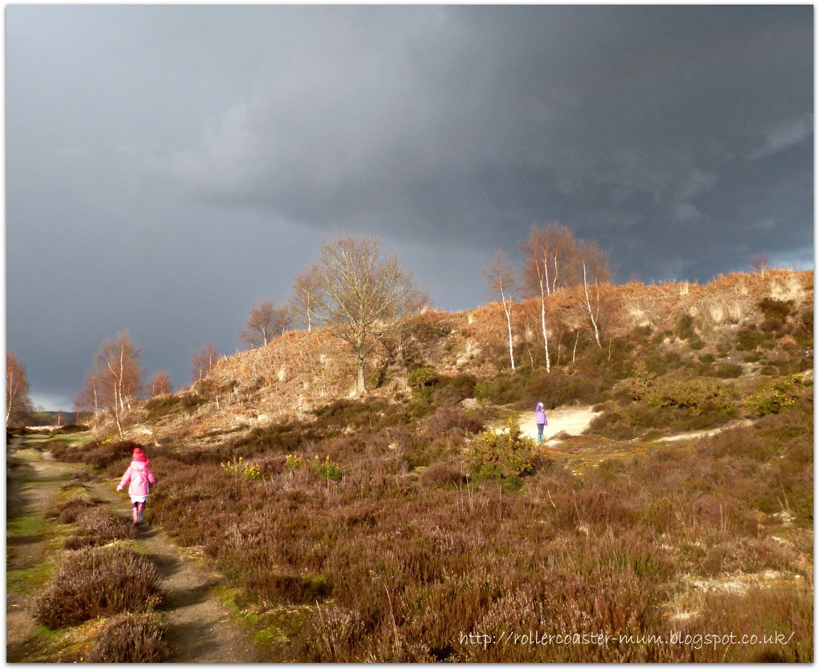 discovery of a sandy pit on the Heathland sandy play areas on the Heathland