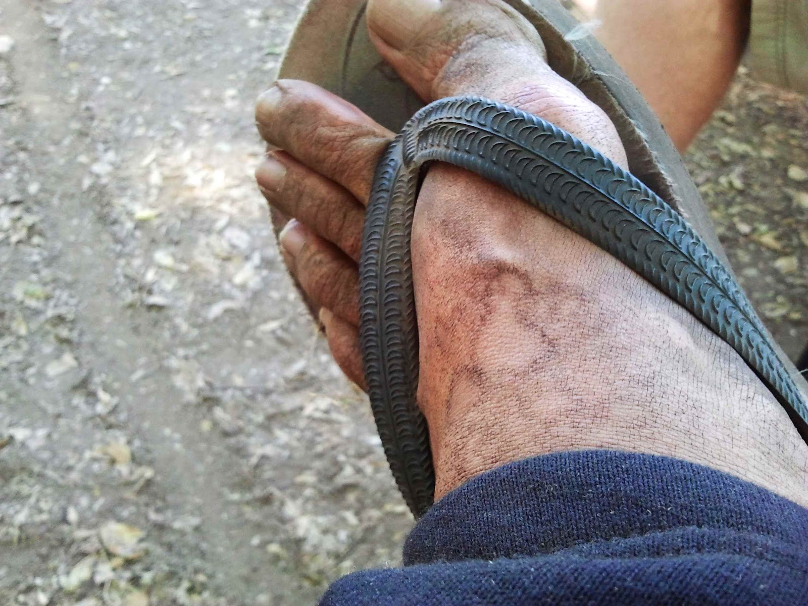 Musings of a peripatetic wannabesage Bringing my dirty feet again and