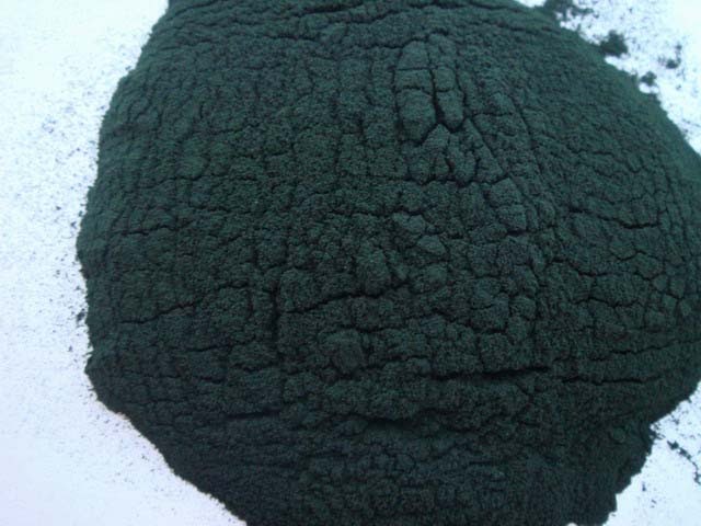 How to Grow Chlorella for a Food Supplement pictures How to Grow Chlorella for a Food Supplement picture