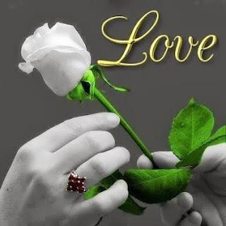 صور ورود مكتوب عليها عبارات حب صور ورود مكتوب عليها عبارات حب