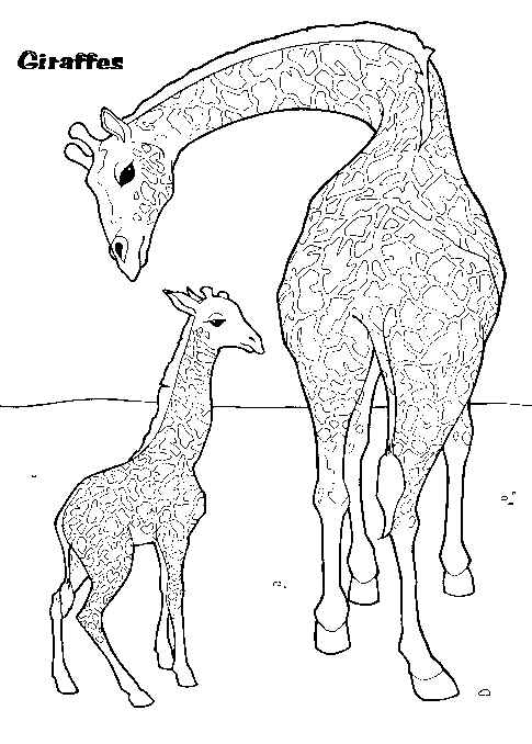 Giraffe Colouring Pages