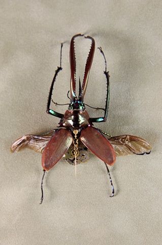 Lindsey Bessanon Hadal-Art insertos mecanizados steampunk