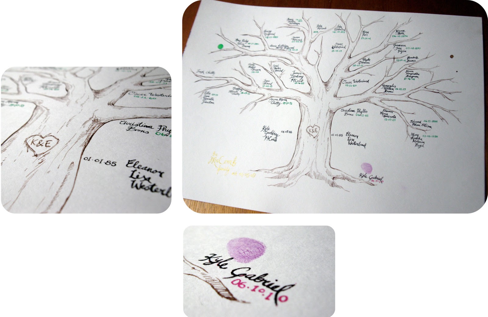 Lady Proteus Name trees
