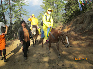 Taiwanese pilgrims  on mules trekking to Taktsang Monastery.