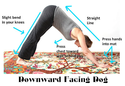 downdog - Yoga for Holiday Stress