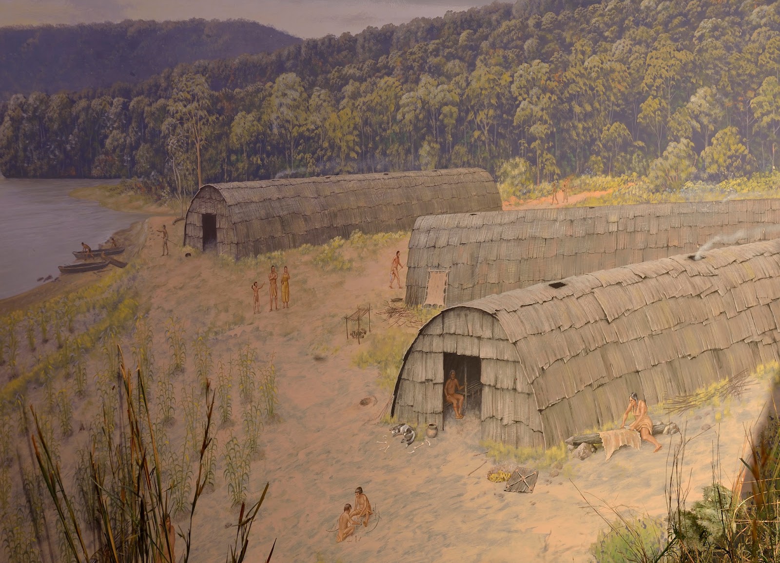Susquehannock Tribe: Eastern Woodland Culture & Historical Legacy