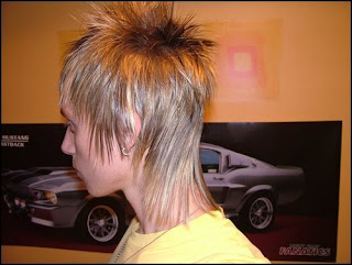 Mullet Hairstyle Picture Gallery -  Mullet Haircut Ideas