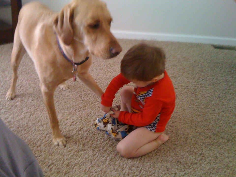 Panda animals pandas adorable link surprise earth most source Little boy and his dog friend (24 pics) | Amazing Creatures