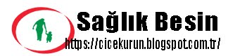 cicekurun Sağlık Besin sağlımızı önem veriyormuyuz