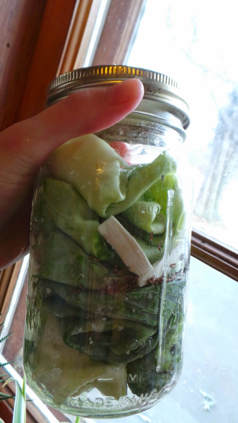 The Suburban Farmhouse Pickled Whole Cabbage Leaves Amazing Stuffed Cabbage On Deck!