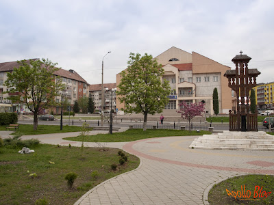 Troita si Casa de Cultura Toplita