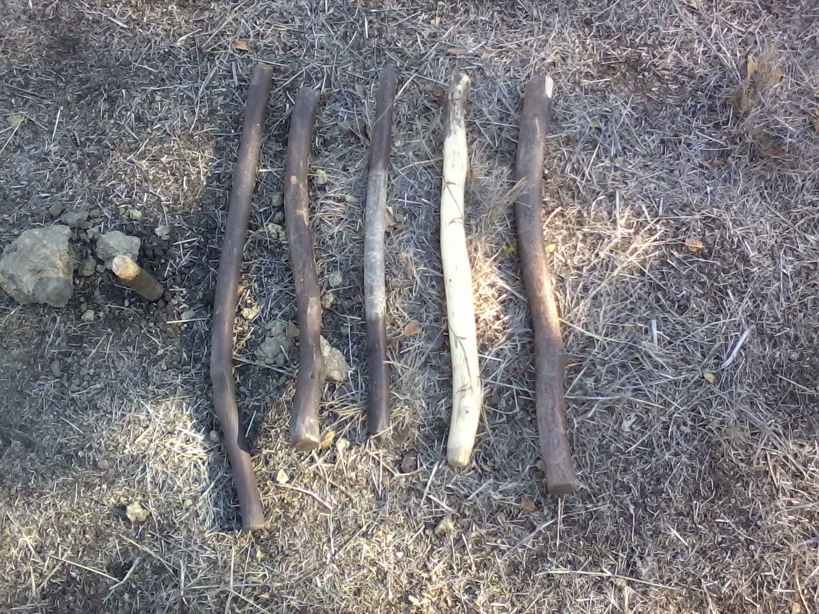 Goblin Ranger Primitive Hunting The Throwing Stick