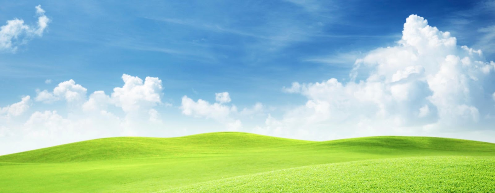 The Grassy Knoll - Happily Ever After The Grassy Knoll - Happily Ever After