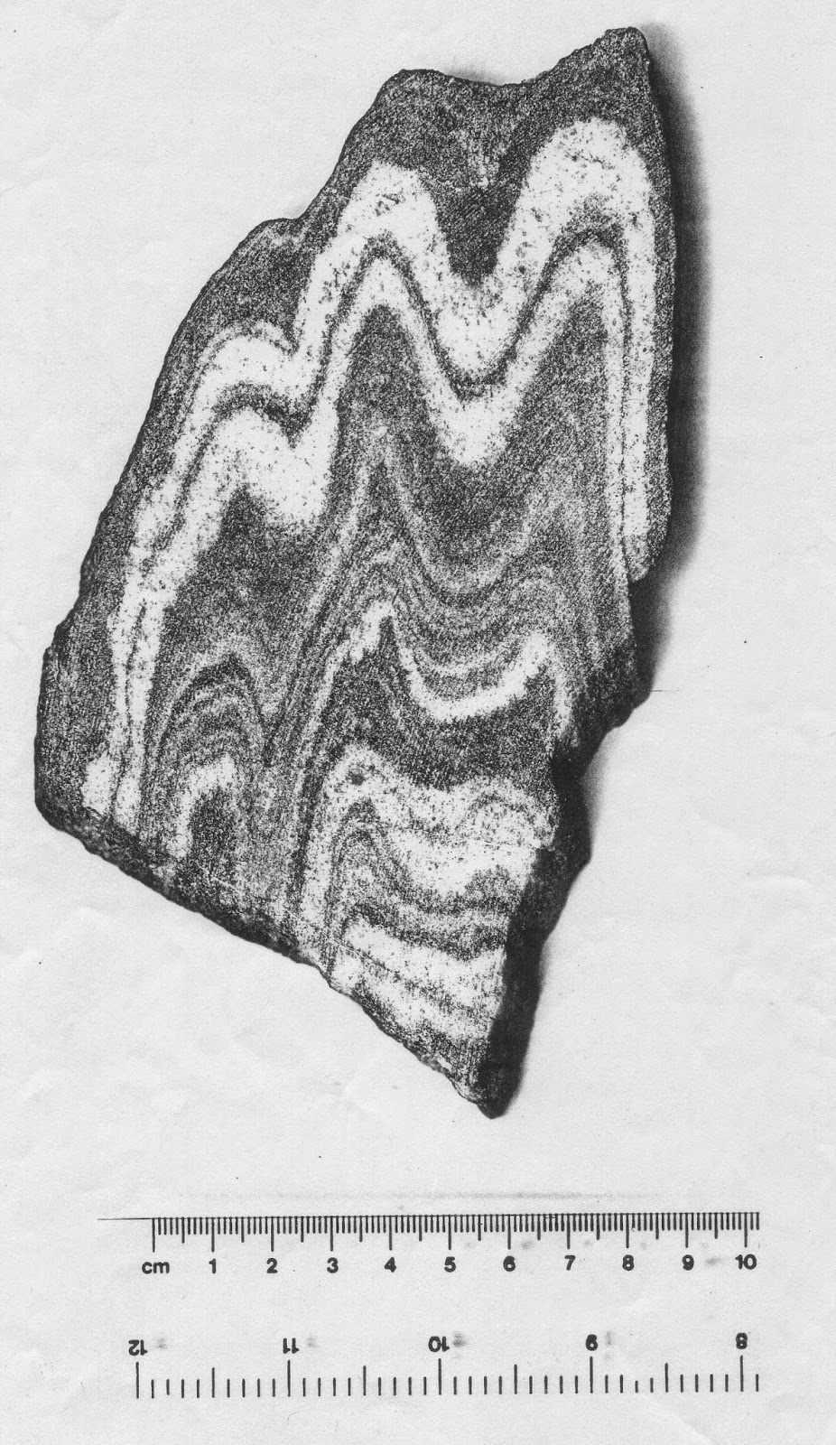 Aquinas Geology Crustal Shortening CW