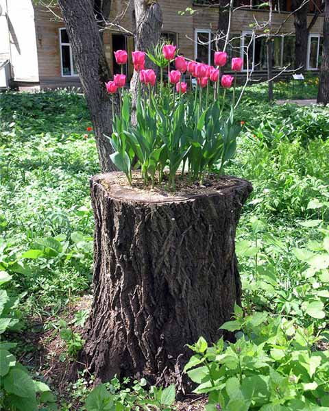 How To Recycle Creative Recycling Ideas For Backyard | how to recycle creative recycling ideas for backyard How To Recycle Creative Recycling Ideas For Backyard | how to recycle creative recycling ideas for backyard