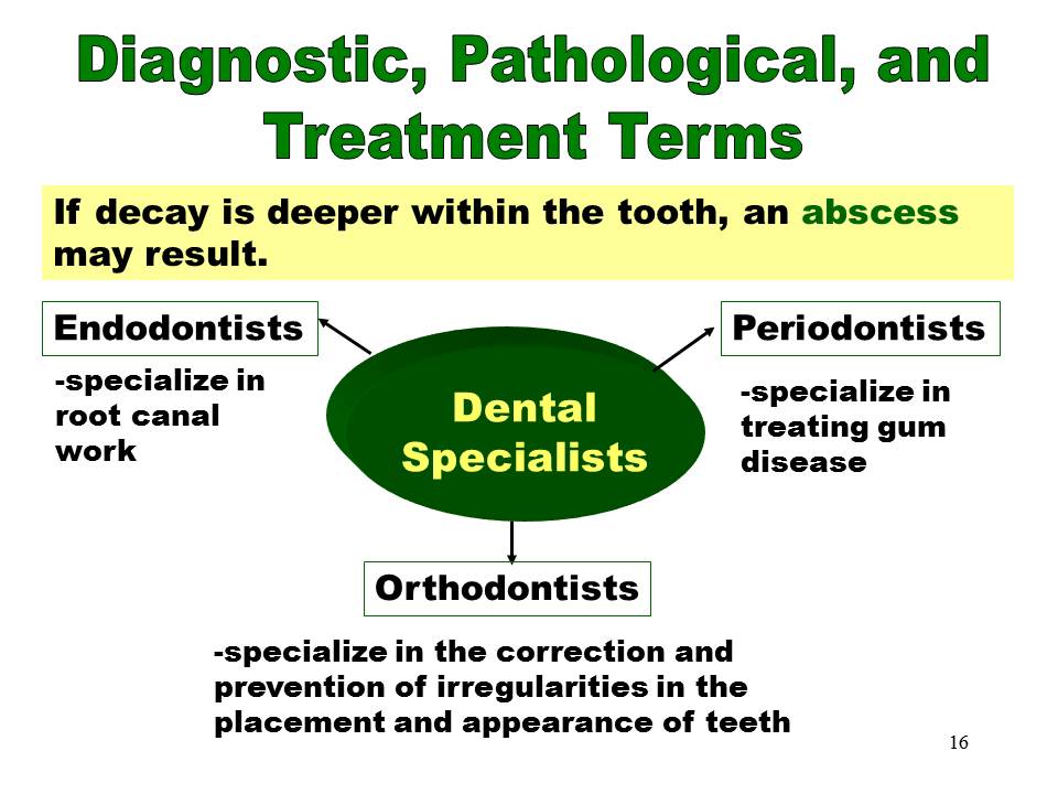 Dentistry Terms in Dental Practice