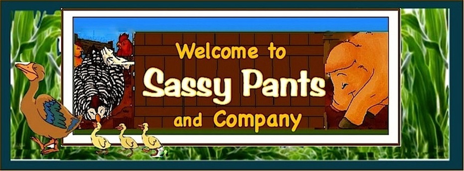 Welcome to Sassy Pants & Co.