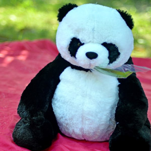4000+ Gambar Boneka Panda Untuk Wallpaper Paling Keren 4000+ Gambar Boneka Panda Untuk Wallpaper Paling Keren