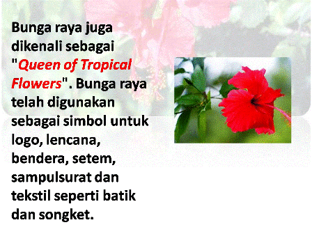 Bahasa Melayu Tahun 3 Video Bunga Raya