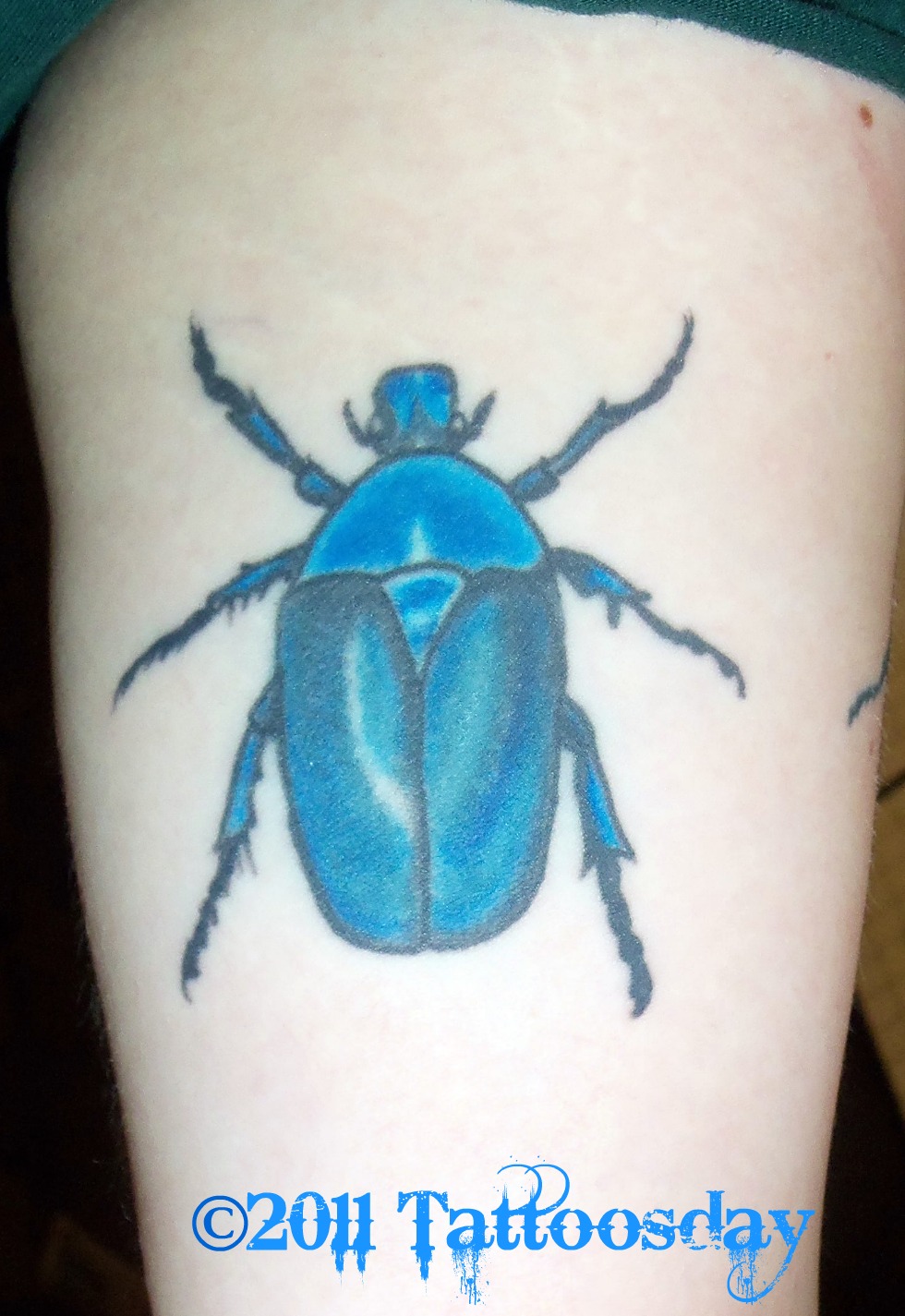 tattoosday a tattoo blog ashley s scarabs tattoosday a tattoo blog ashley s scarabs