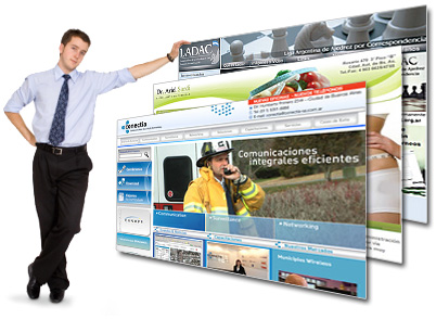 DISENO PROFESIONAL DE PAGINAS WEB PARA EMPRESAS diseno profesional de paginas web para empresas: