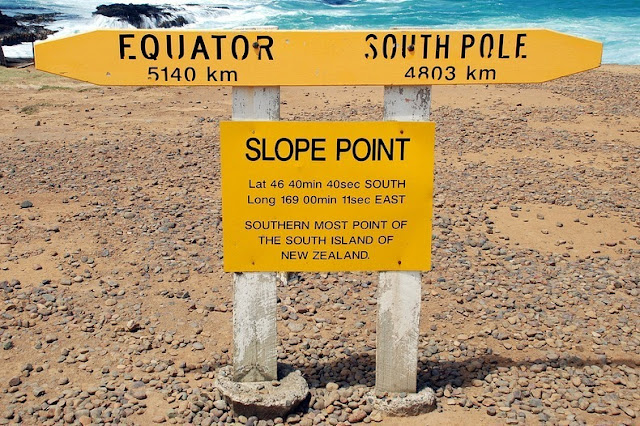 Pohon-Pohon yang Sujud di Slope Point