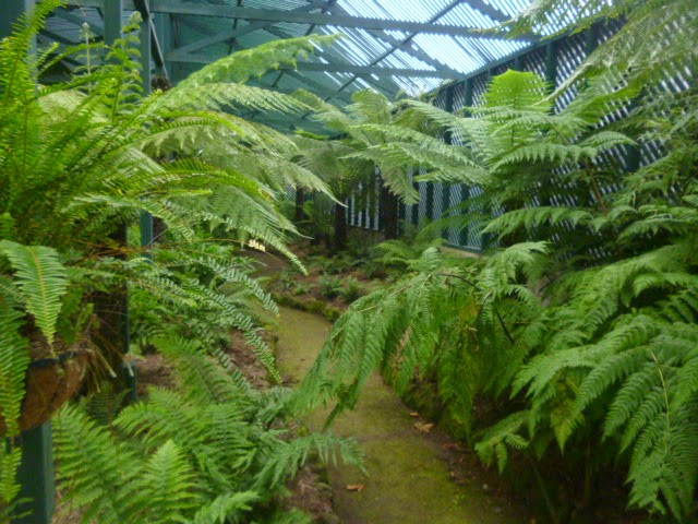 Inside the glass house