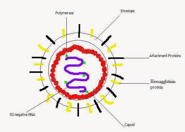 download 101 plätze an denen sie sex