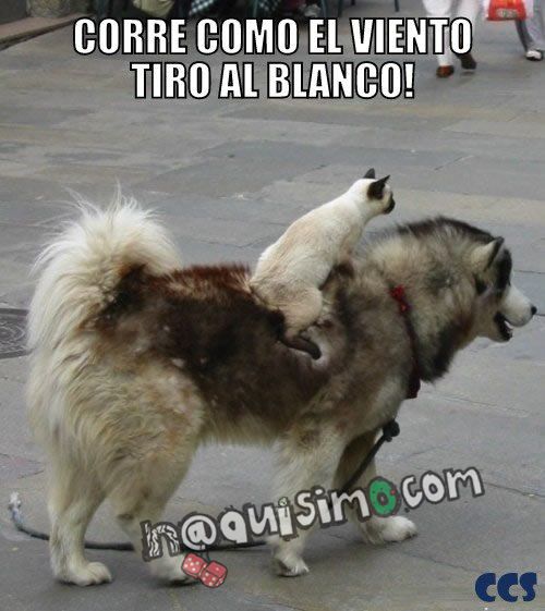 Imagenes con frases divertidas Archives Imágenes con