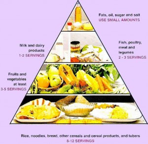 Healthy+food+pyramid+pictures