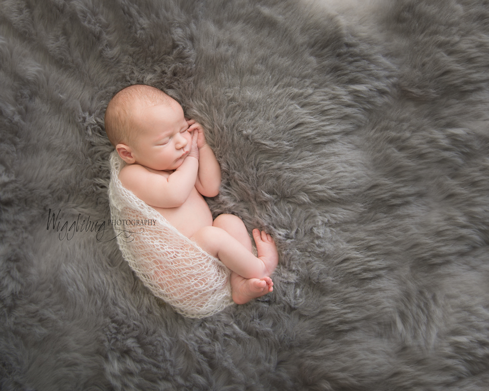 Newborn Portraits Professional Photographer near Geneva, IL