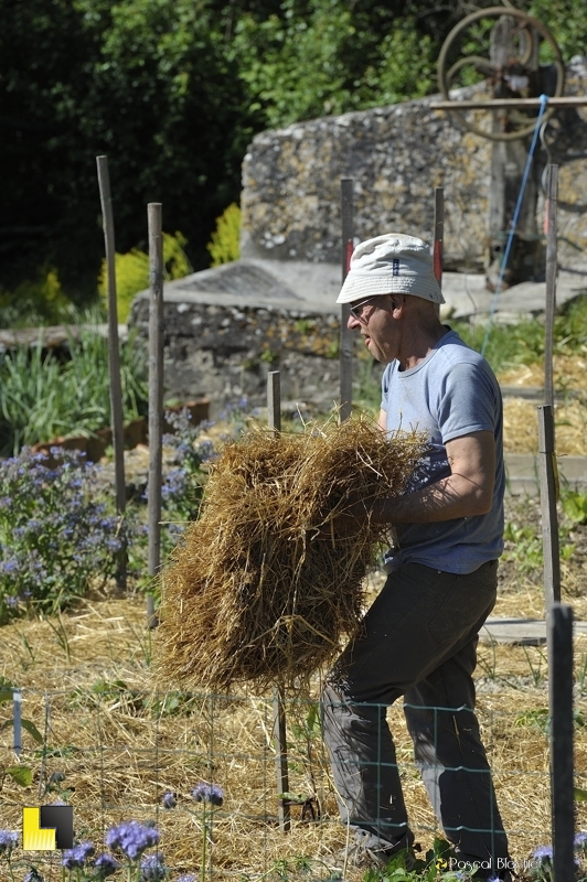 Georges pin en plein travail au jardin photo pascal blachier