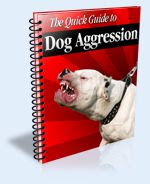 Aggressive Dog Training