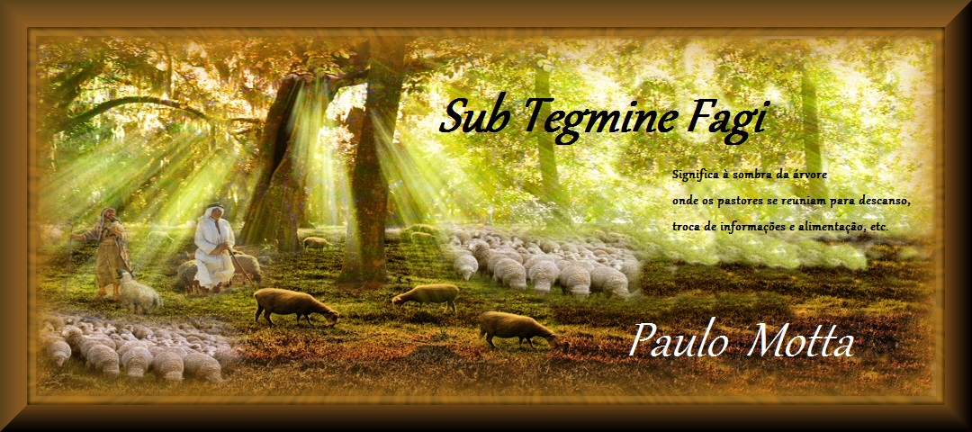 Sub Tegmine Fagi