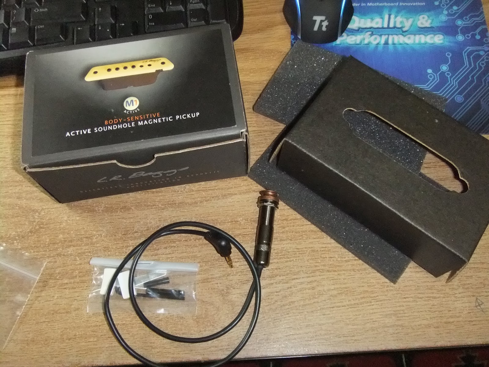 LR Baggs M1A Acoustic sound hole pickup Paul's Guitars